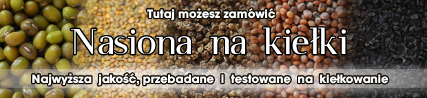 MIRELKA.PL - nasiona na kielki, kielkownice